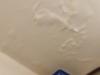 photo-0-Petit dégâts des eaux dans la salle de bain