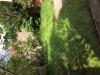 photo-0- Rafraîchir un jardin + tondre 