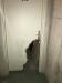 photo-3-Remplacement porte cave