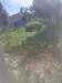 photo-0-Besoin d'aide pour mon jardin