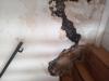 photo-0-Reconstruire mon mur