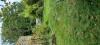 photo-0-Entretien de jardin