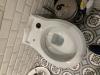 photo-0-Toilette