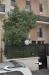 photo-0-Taille d'arbre