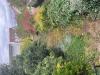 photo-0-Jardin à faire
