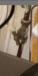 photo-0-Fuite sur raccord lave vaisselle