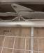 photo-1-REPARATEUR CANAPE CONVERTIBLE