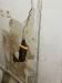photo-1-Mur BA13