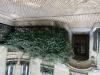 photo-0-taille de plante