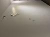 photo-1-Peinture de mur