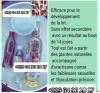 photo-0-PRODUIT POUR ALLONGER ET GROSSIR LE PENIS +229 96245742