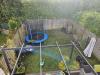 photo-0-gazon jardin.