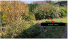 photo-1-Jardin entre 50 - 70m² à nettoyer