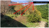 photo-2-Jardin entre 50 - 70m² à nettoyer