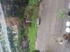 photo-0-Jardinage