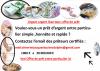 photo-0-Le prêt entre particulier sans frais en 24h En FRANCE est-il possible ?  chevrierjacqueslouisrodolphe@gmail.com