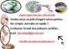 photo-0-Le prêt entre particulier sans frais en 24h En SUISSE TOUT COURT  est-il possible ?   bonsitee@gmail.com
