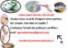 photo-0-gerardserieux@gmail.com  Offre de pret entre particulier sérieux en France demande site d'annonce