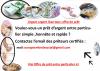 photo-0-Sujet serieux : Offre de Prêt Entre Particulier Sérieux en 72H  (Lu 449 fois) - europeenfondssocial@gmail.com