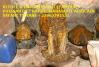 photo-3-Retour d’amour rapide – Safari Tidiane 0022963392531
