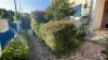 photo-0-Taille haies et glycine