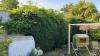 photo-1-Taille haies et glycine