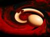 photo-3-Comment avorter une grossesse non désirée : Rituel pour avorter une grossesse a distance ou provoquer une fausse couche