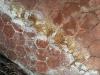 photo-2-Recherche artisan pour rénovation de tomettes anciennes – Surface 30 m²