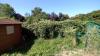 photo-0-jardin