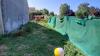 photo-2-jardin