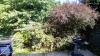 photo-5-jardin