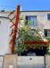 photo-1-Élagage vigne vierge et arbre