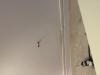 photo-0-50€ Pour 10 Trous sur un mur en beton pour y fixer meuble tv