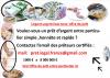photo-0-Offre de prêt entre particulier sérieux et rapide ,avez-vous besoin de conseils ?( pret.legal.france@gmail.com  )