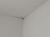 photo-2-Plafond blanc à repeindre - tâches moisissures