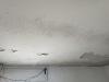 photo-0-Refaire plafond et mur, peinture