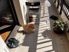 photo-0-Réparation du carrelage d'un balcon