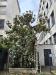 photo-0-élagage arbre (magnolia)