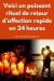 photo-0-Retour affectif amoureux immédiat. Tél+22990556895