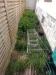 photo-1-Deux petits espaces verts autour d'une maison de ville à désherber/nettoyer/replanter