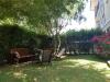 photo-0-TONTE DE PELOUSE