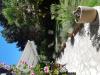 photo-1-TONTE DE PELOUSE