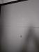 photo-1-PEINDRE PORTE D ENTREE