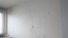 photo-1-Enduit + Peinture mur suite dégat des eaux