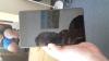 photo-0-Bouton power on off ne fonctionnant plus