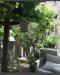 photo-0-AGENCEMENT TERRASSE