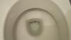 photo-0-fuite d'eau    par la cuvette de mes toilettes