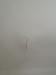 photo-2-URGENT : Peinture et enduit.