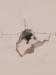 photo-0-Reboucher le BA13