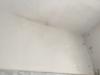 photo-0-Repeindre un plafond de salle de bain